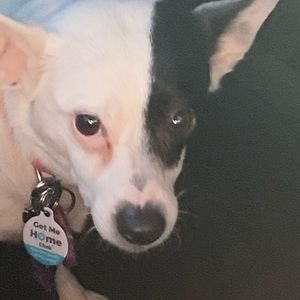 Meet your Posher, Benjamin